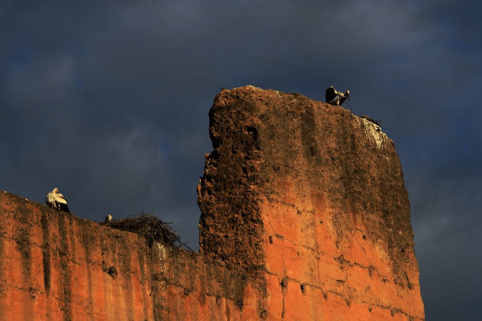 Marocco-Alessandro 1.png