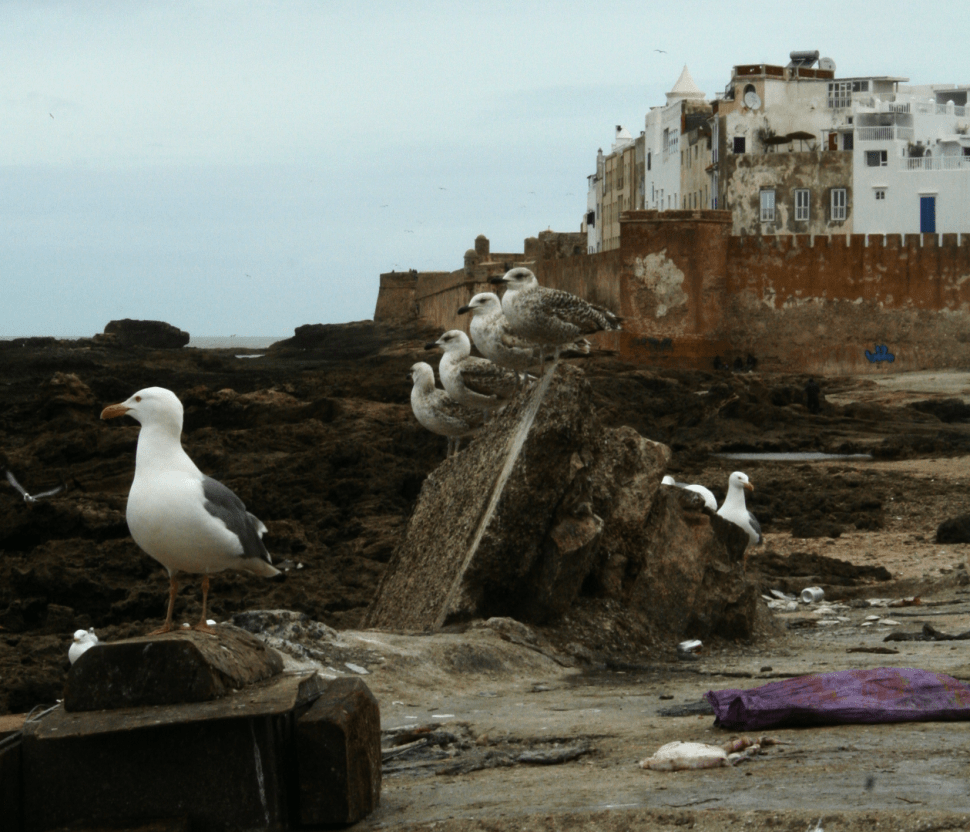 Marocco-Alessandro 3