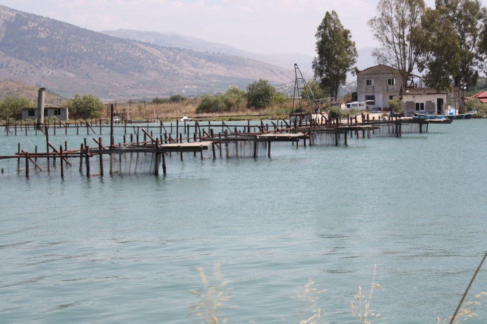 ALBANIA agosto2019 321